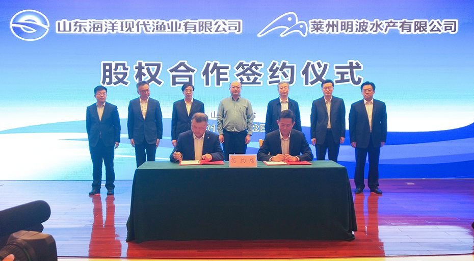 365英国上市公司(集团)官方网站-Global Platform