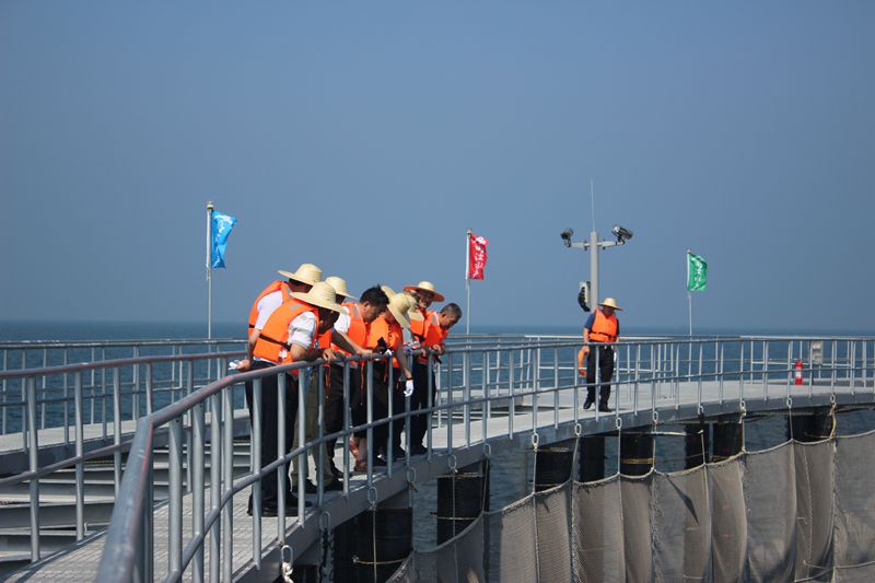 365英国上市公司(集团)官方网站-Global Platform