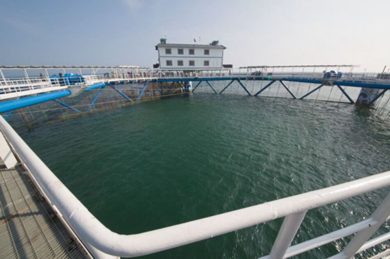 365英国上市公司(集团)官方网站-Global Platform