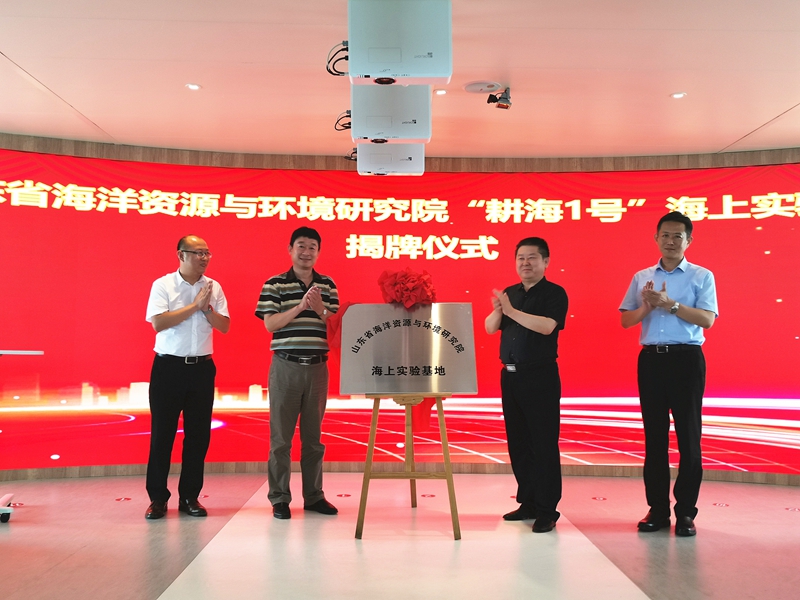 365英国上市公司(集团)官方网站-Global Platform