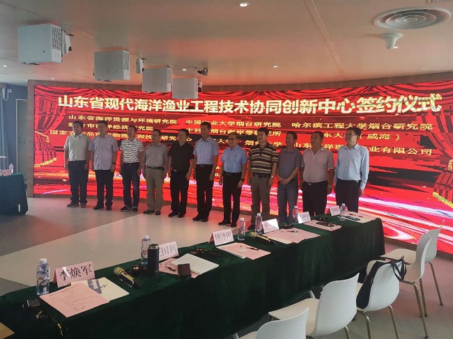 365英国上市公司(集团)官方网站-Global Platform