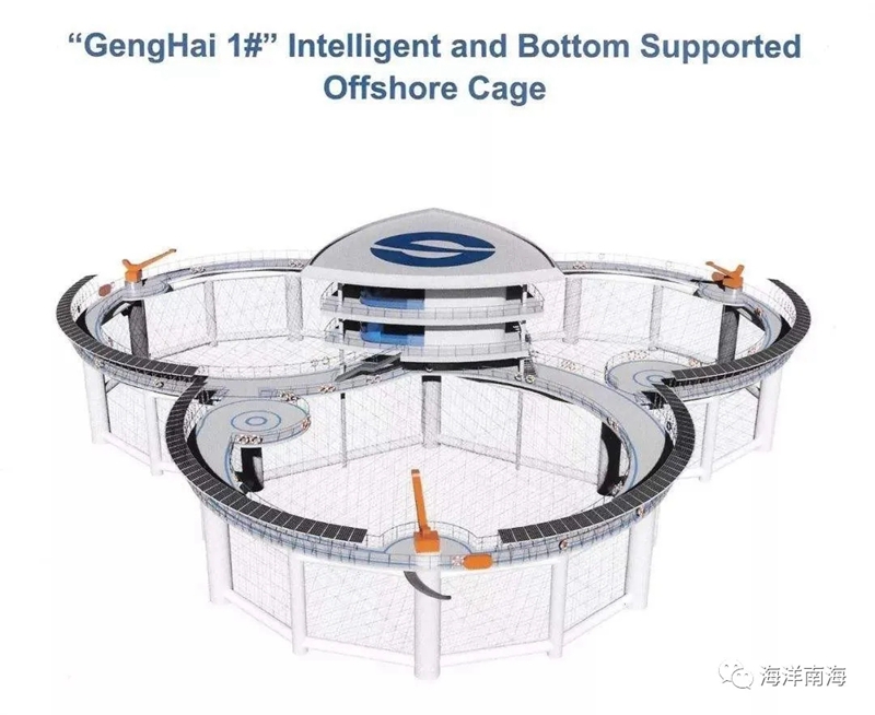 365英国上市公司(集团)官方网站-Global Platform