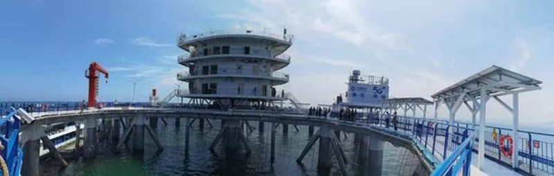 365英国上市公司(集团)官方网站-Global Platform