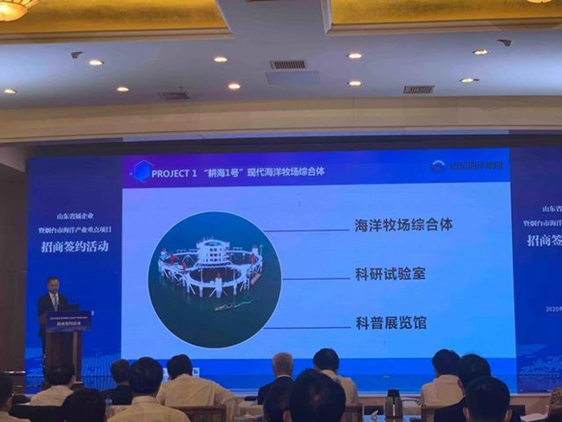 365英国上市公司(集团)官方网站-Global Platform