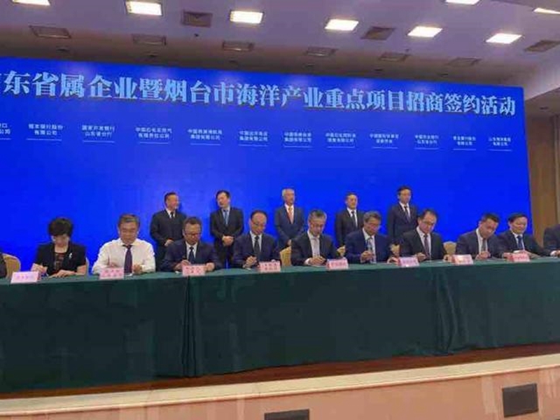 365英国上市公司(集团)官方网站-Global Platform