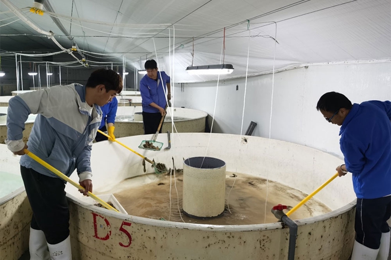 365英国上市公司(集团)官方网站-Global Platform