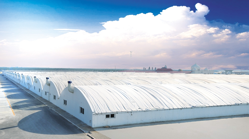 365英国上市公司(集团)官方网站-Global Platform