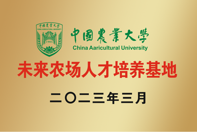 365英国上市公司(集团)官方网站-Global Platform