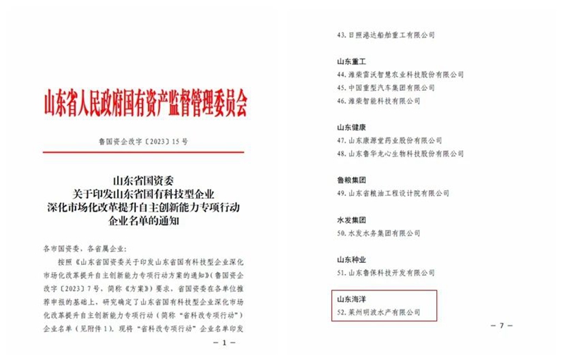 365英国上市公司(集团)官方网站-Global Platform