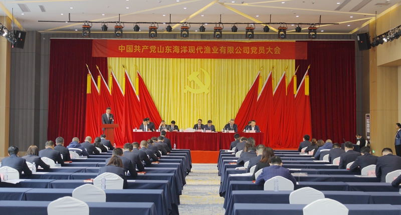 365英国上市公司(集团)官方网站-Global Platform