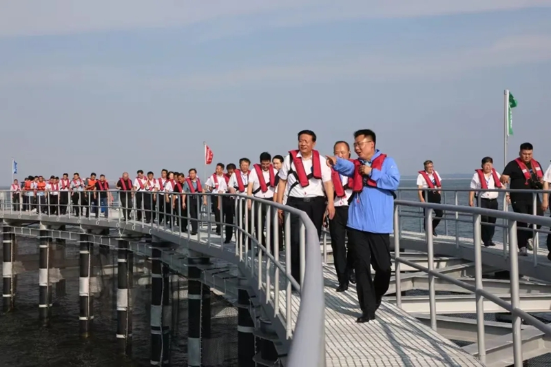 365英国上市公司(集团)官方网站-Global Platform