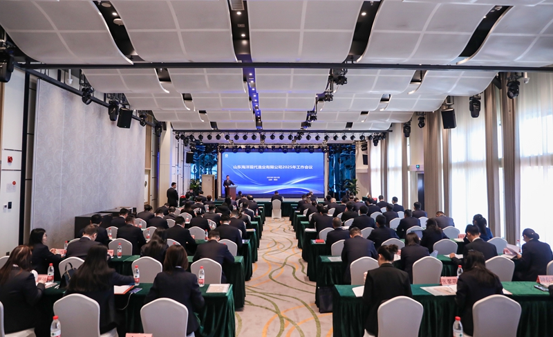250122181250d70s5 365英国上市公司(集团)官方网站-Global Platform