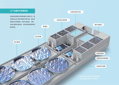 365英国上市公司(集团)官方网站-Global Platform