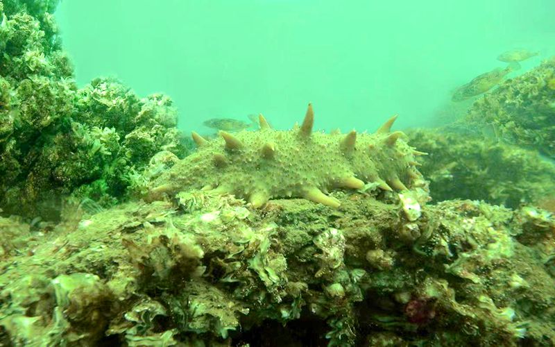 365英国上市公司(集团)官方网站-Global Platform