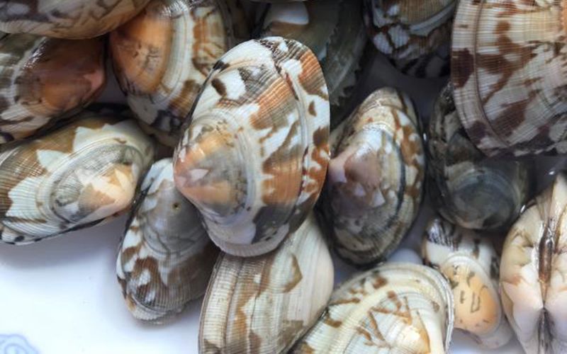 365英国上市公司(集团)官方网站-Global Platform