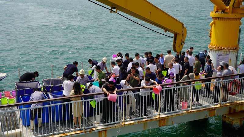 365英国上市公司(集团)官方网站-Global Platform