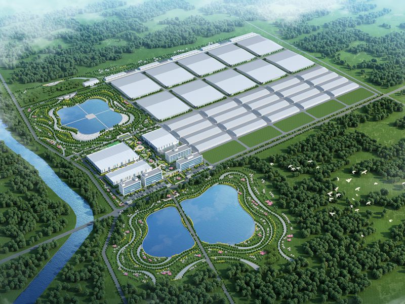 365英国上市公司(集团)官方网站-Global Platform