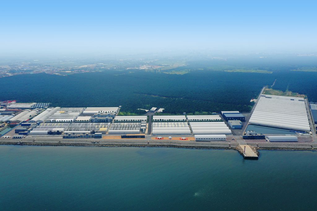 365英国上市公司(集团)官方网站-Global Platform