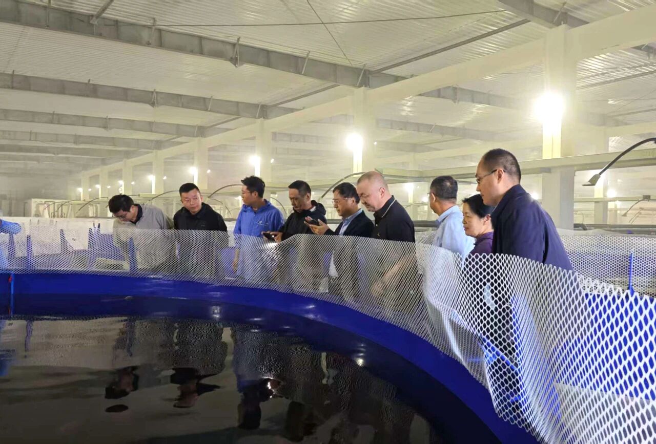 365英国上市公司(集团)官方网站-Global Platform