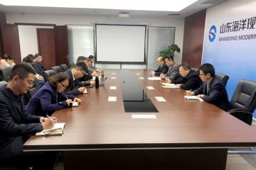 1904241631163cn5e_360x240