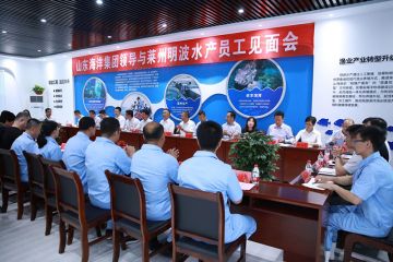 1905251218240o48k_360x240