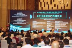 1905301456236tk31_240x160