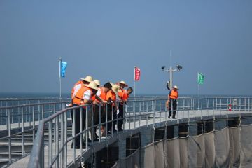 190709132914lwv0m_360x240