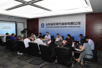 1907151756270txi9_360x240