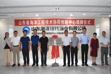 190718190526s0ra6_360x240