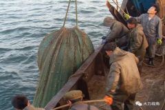 190726081456gpt7c_240x160