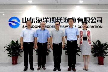 190904175058etj5o_360x240