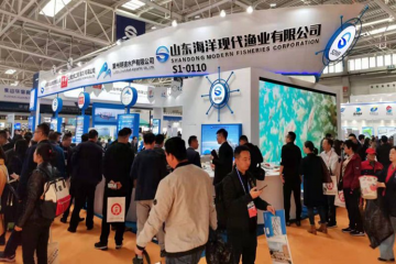 191031215008f6l3g_360x240