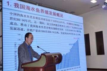 19112716132969bu4_360x240