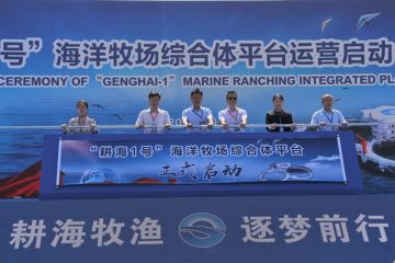 20071020594601owe_360x240