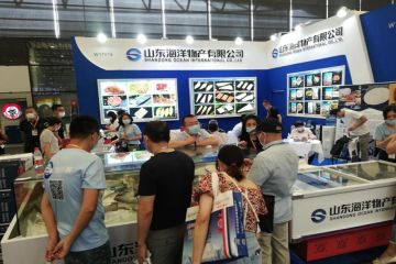 200901114523gqnf3_360x240