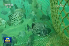 210202102358nr13i_240x160