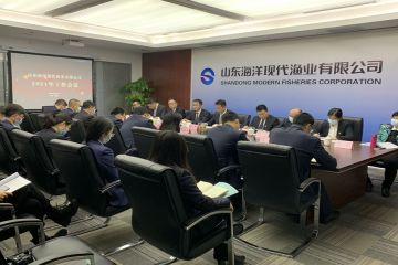 2102051728119osnv_360x240