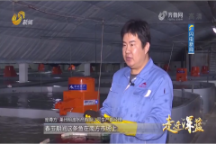 210207091325c9qwg_240x160