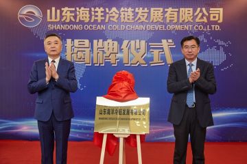 2102260953025zrid_360x240