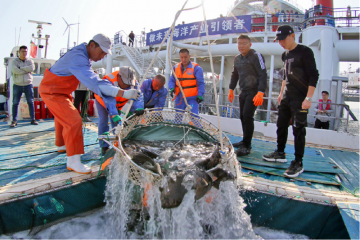 230307164300o7ukd_360x240