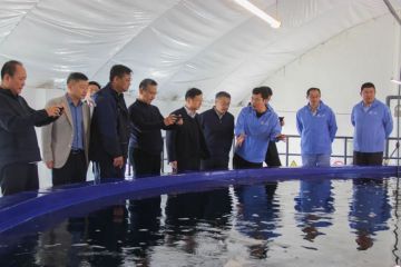 2304302241048ru5m_360x240