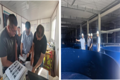 2308171640567z0pf_240x160