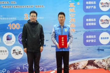 2311101632553prvf_360x240