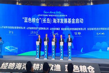 231221101621j1rf6_360x240