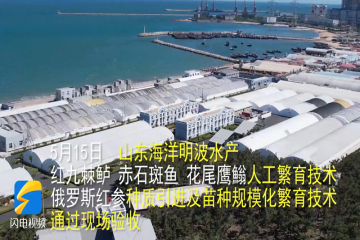 240517154759vk31g_360x240