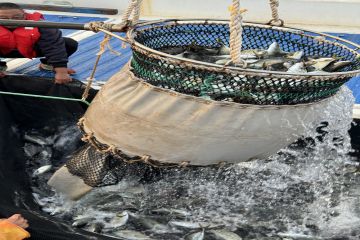 2411140826302t4kw_360x240